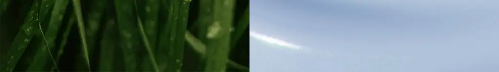 [수분크림] 닥터엘시아 아쿠아 마린 워터리 크림 50ml 상세페이지 13